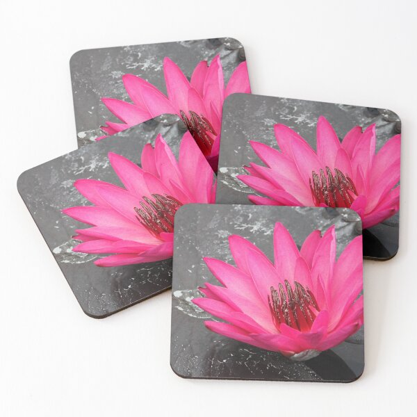 Item preview, Magenta water lily designed and sold by rootedrender.