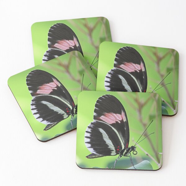 Item preview, Postman longwing butterfly designed and sold by rootedrender.