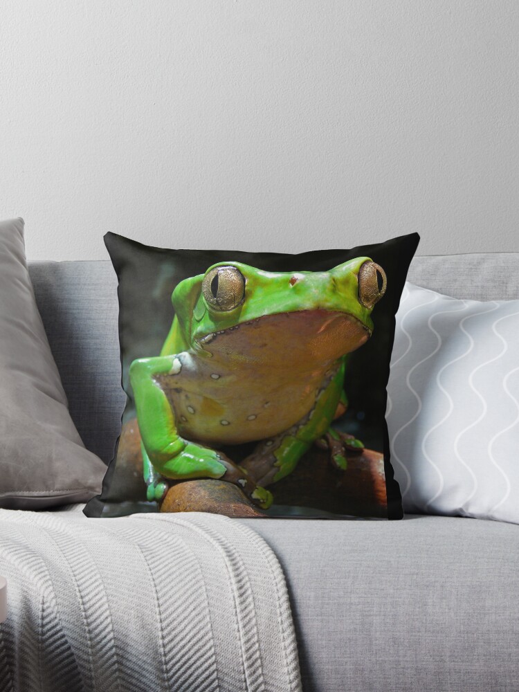 Giant monkey frog Pillow for Sale by rootedrender
