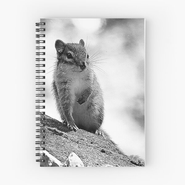 Aperçu de l'œuvre N / B Chipmunk mignon créée et vendue par ADM  Photography.