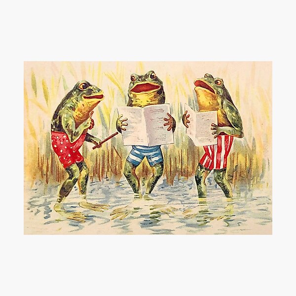 the son gof the frog  Frog art, Frog decor, Cute frogs