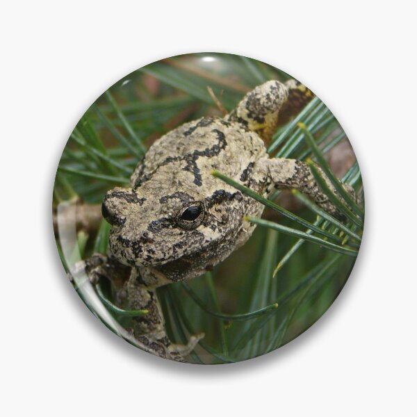 Item preview, Eastern grey tree frog designed and sold by rootedrender.