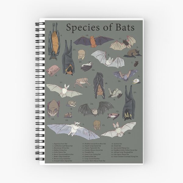 Item preview, 25 Species of Bats Poster designed and sold by Mozzarellabits.