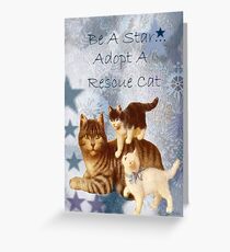 Adopt Rescue Humane Cat Greeting Card