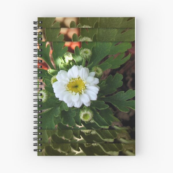 Item preview, Thumbellina Reflection - Tiny Flower in Mirrored Frame designed and sold by BlueMoonRose.