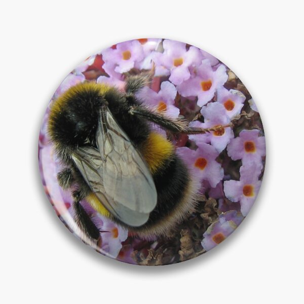 Item preview, Up Close and Personal - Bumble Bee at Work  designed and sold by BlueMoonRose.