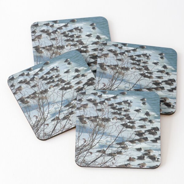 Item preview, Birds designed and sold by Martin Boisvert.