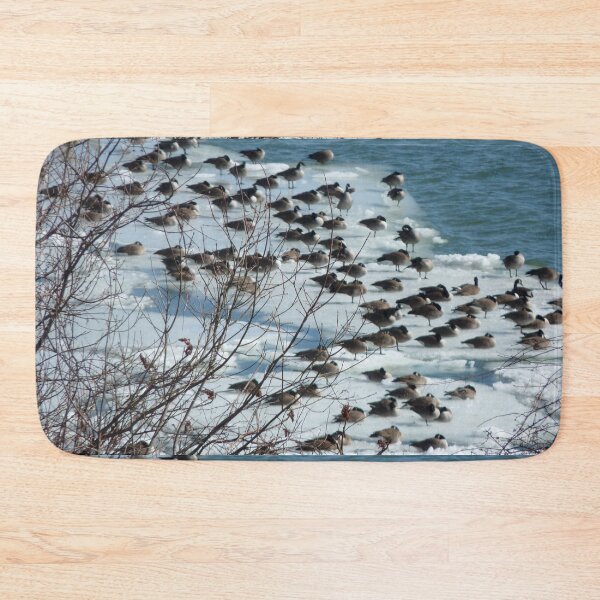 Item preview, Birds designed and sold by Martin Boisvert.