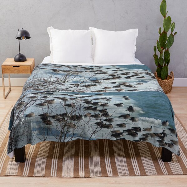 Item preview, Birds designed and sold by Martin Boisvert.