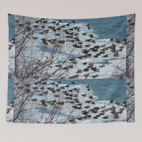 Item preview, Birds designed and sold by Martin Boisvert.