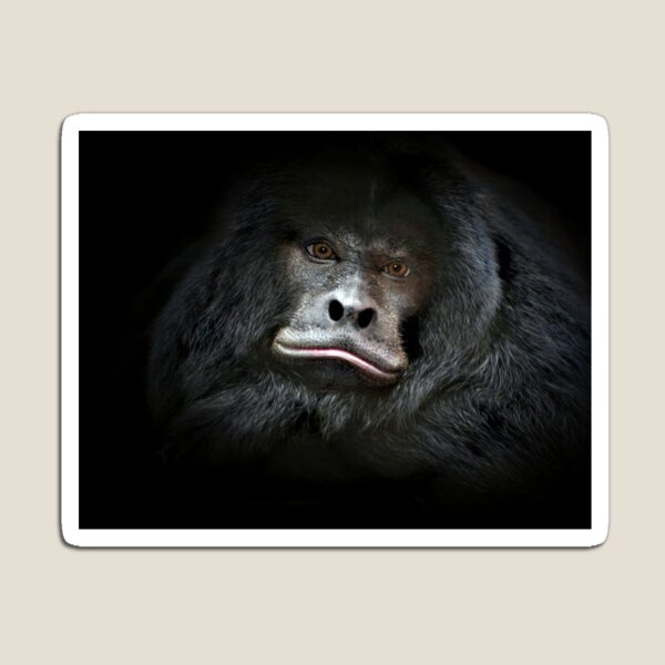 Male Black Howler Monkey (Alouatta caraya) Mask for Sale by Yair