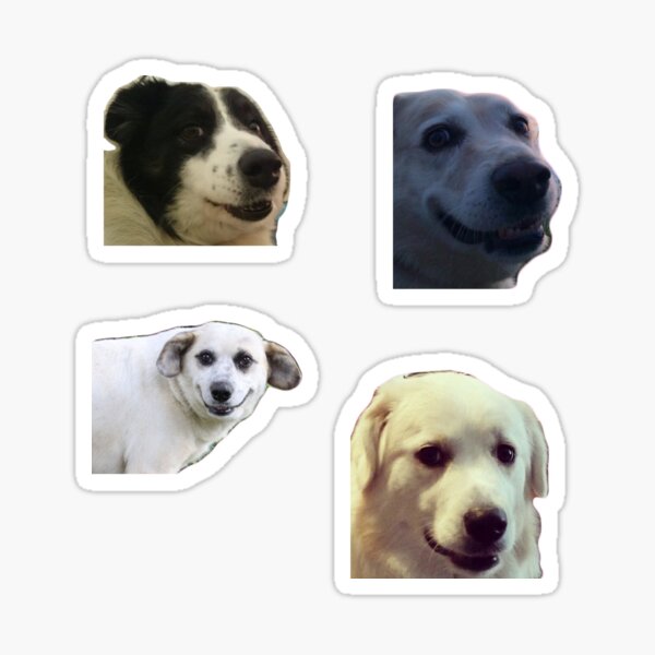 Item preview, Concerned Doggo Sticker Collection  designed and sold by laughcries.