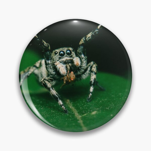 Item preview, Tiny Spider designed and sold by cahmontemor.