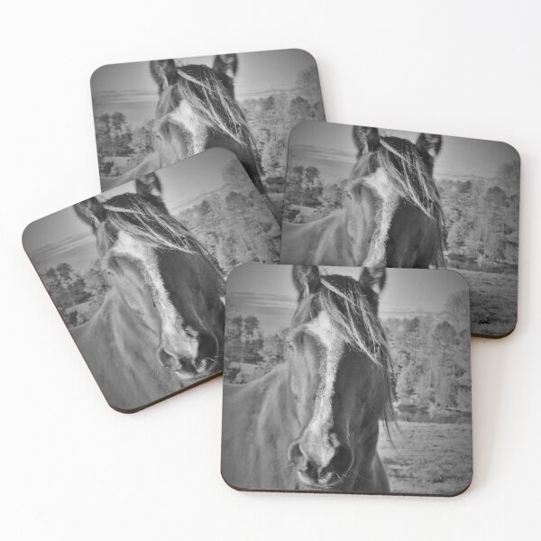 Item preview, Black and White Horse designed and sold by floofpictures.