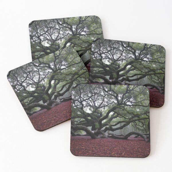 Item preview, Angel Oak Tree in the Fall designed and sold by floofpictures.