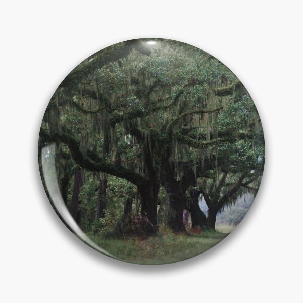 Artikelvorschau, Südliche Schönheit in Beaufort, South Carolina entworfen und verkauft von floofpictures.