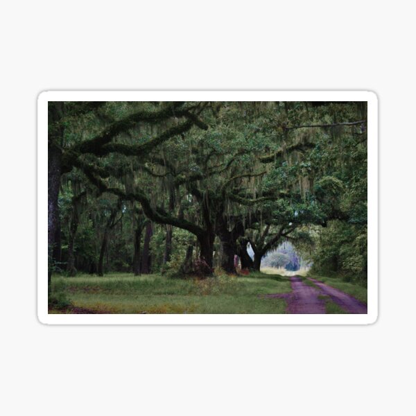Item preview, Southern beauty in Beaufort, South Carolina designed and sold by floofpictures.