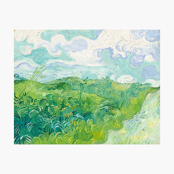 Vincent Van Gogh Green Wheat Fields Auvers Photographic Print