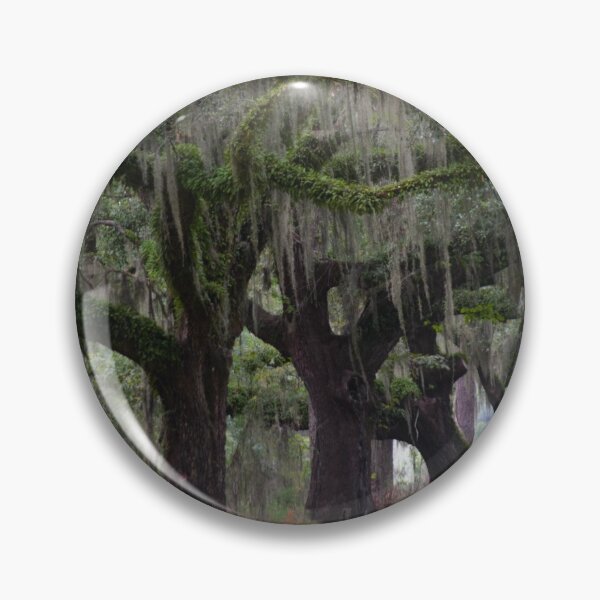 Item preview, Spanish peat moss on Oak Trees designed and sold by floofpictures.