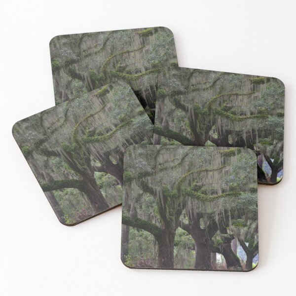 Item preview, Spanish peat moss on Oak Trees designed and sold by floofpictures.