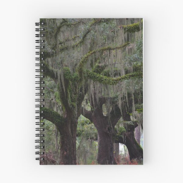 Item preview, Spanish peat moss on Oak Trees designed and sold by floofpictures.