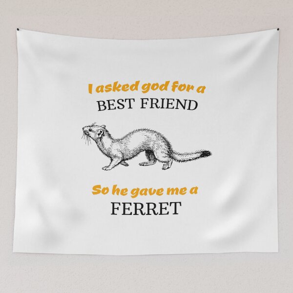 Aperçu de l'œuvre best friend ferret créée et vendue par JaMatt1983.