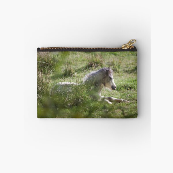 Item preview, Wild Gower pony designed and sold by Leighton Collins.