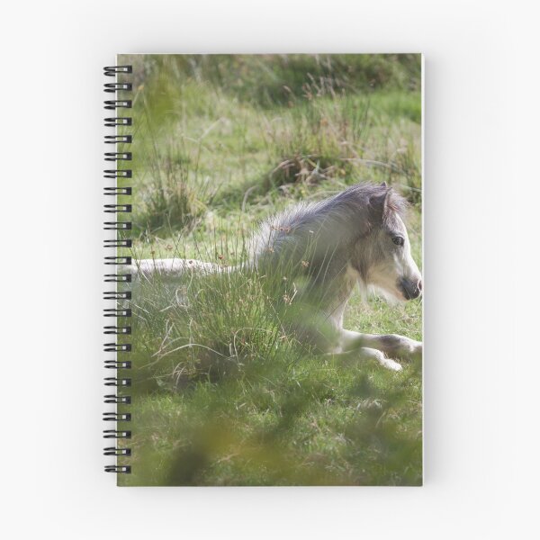 Item preview, Wild Gower pony designed and sold by Leighton Collins.
