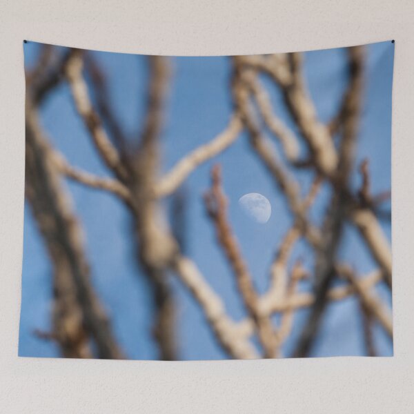 Item preview, Through The Branches Into The Moon designed and sold by Vienewi.