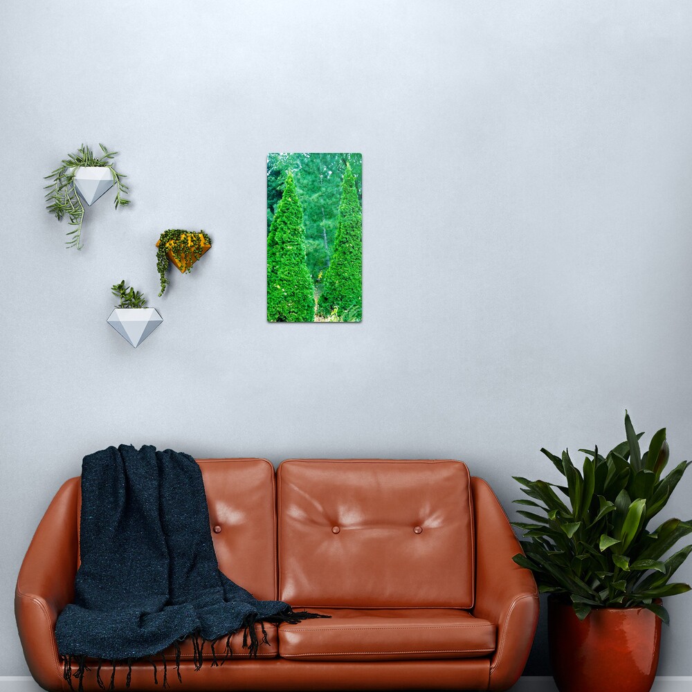 We THREE TREES of Orient Are...... Metal Print