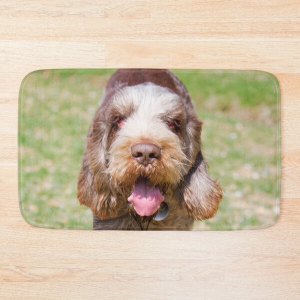 Item preview, Returning Spinone designed and sold by FOLK ART FUSION by heidiannemorris.