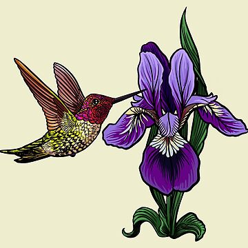 Artwork thumbnail, hummingbird and iris by Holly Pierson