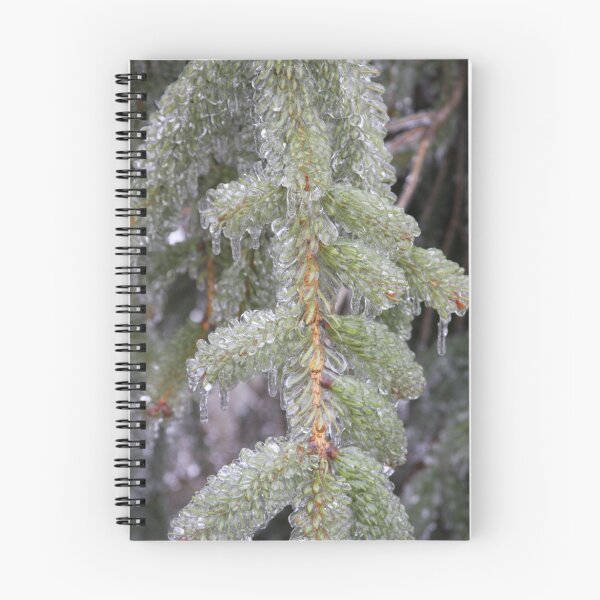Item preview, Ice Covered Pine Bough designed and sold by suzyrissew.