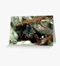 mantis shrimp Greeting Card