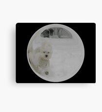 Cindy's Snow Globe's 3 Canvas Print