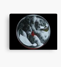 Cindy's Snow Globe's 6 Canvas Print