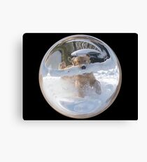 Cindy's Snow Globe's 12 Canvas Print