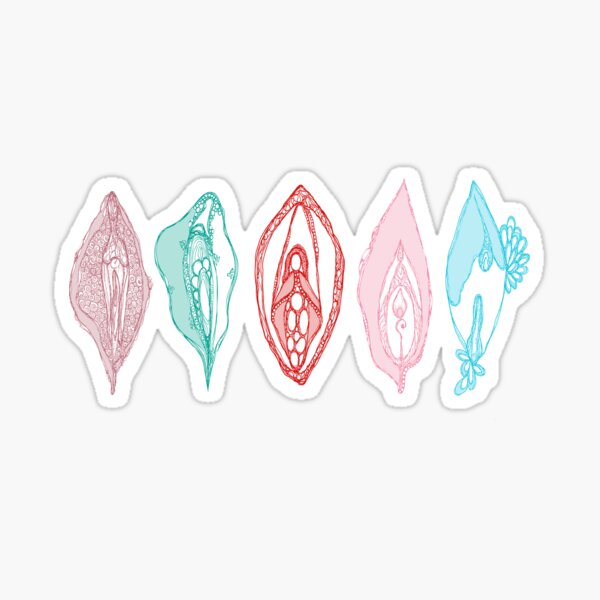 Regenbogenvulvas Sticker