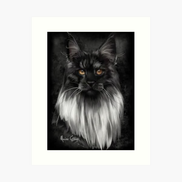 Aperçu de l'œuvre t- shirt maine coon, objet maine coon , chat , black smoke créée et vendue par snyper765.