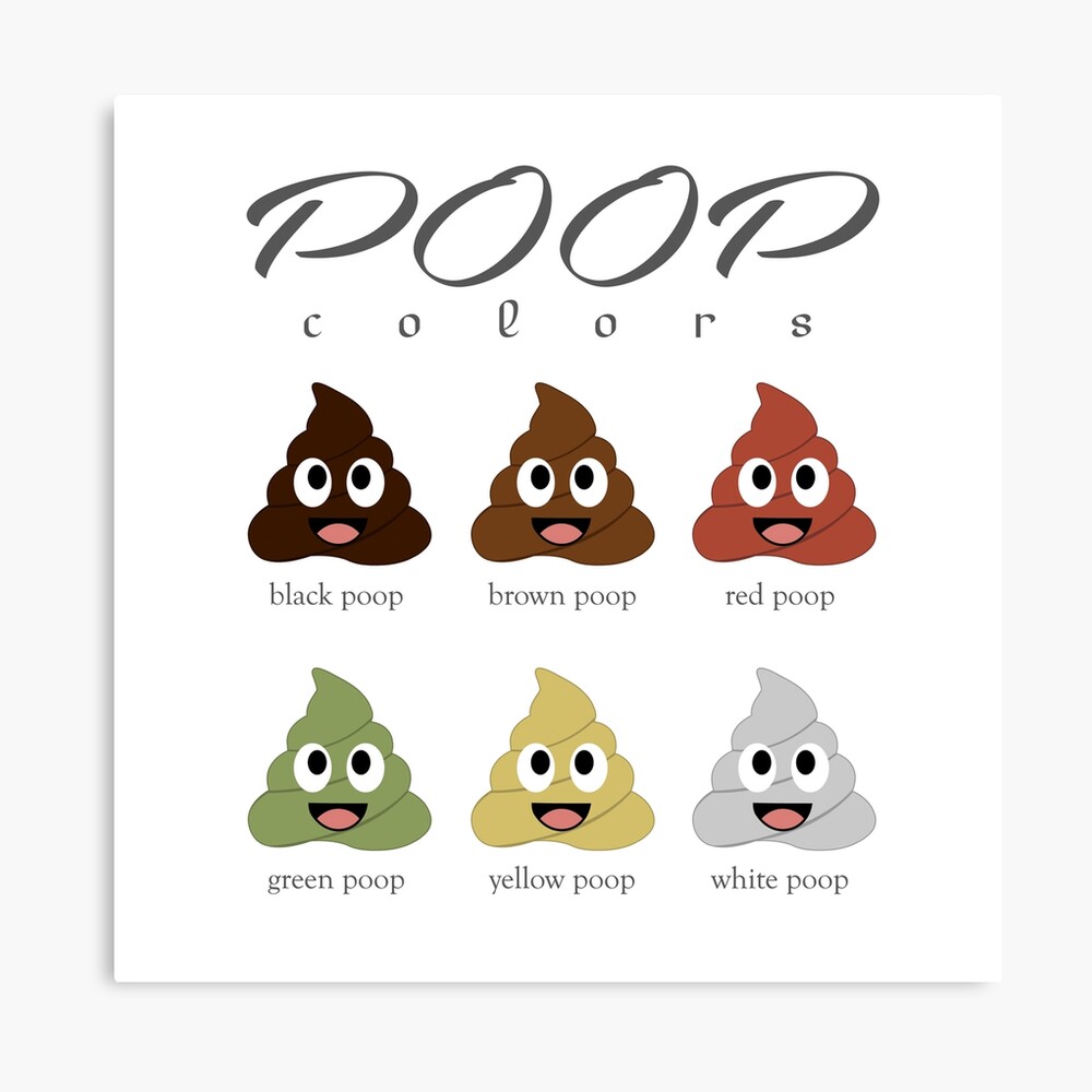 types-of-poop-ubicaciondepersonas-cdmx-gob-mx