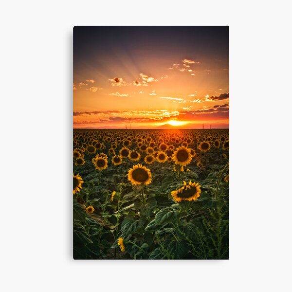 Light Of The Plains Canvas Print