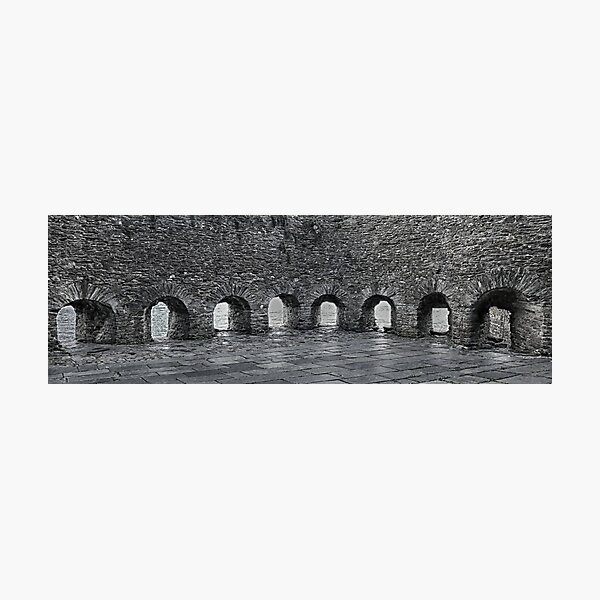 Bayard's Cove Fort Photographic Print