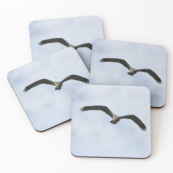 Item preview, An Osprey In Flight designed and sold by Jason Gilbert.