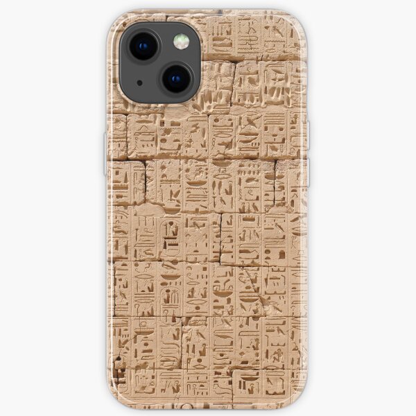 Hieroglyphs at Medinet Habu iPhone Soft Case