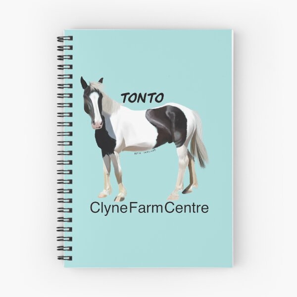 Item preview, Tonto designed and sold by shandys-art.
