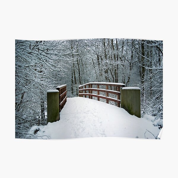 Bridge between white worlds Poster