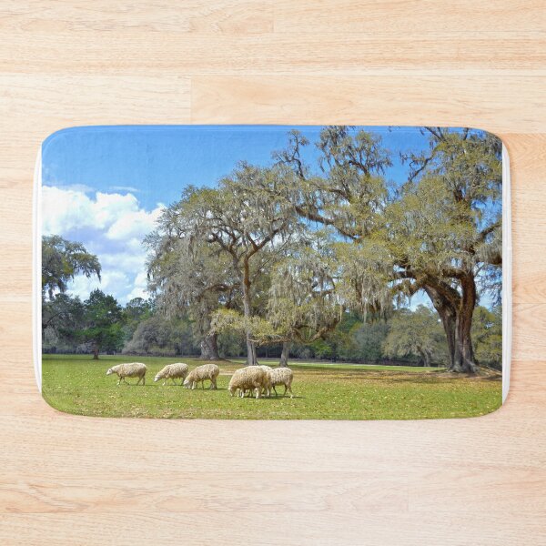 Item preview, Sheep Grazing at Middleton Place designed and sold by Catherine Sherman.