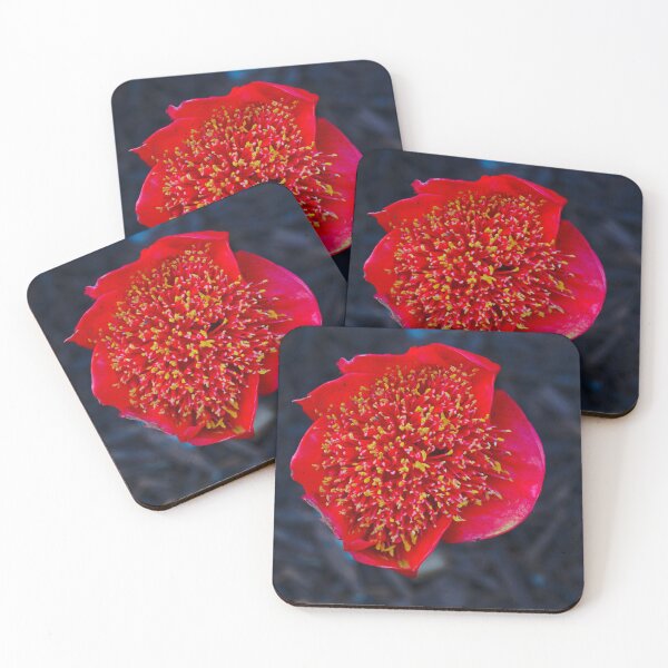Item preview, A Blood Lily Against A Wood Mulch Background designed and sold by Jason Gilbert.