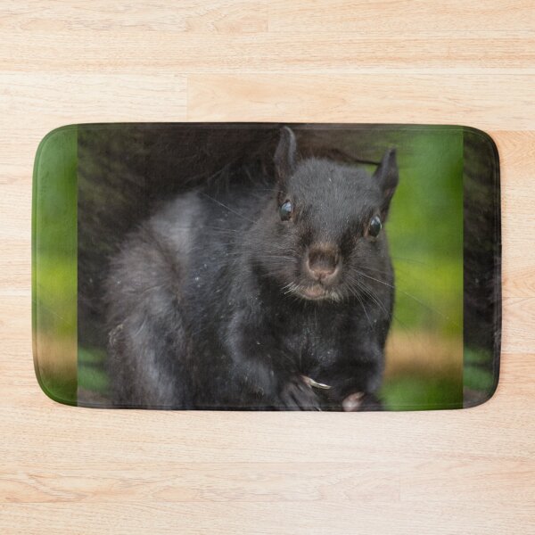 Item preview, Eastern Grey Squirrel designed and sold by Robert Alsop.