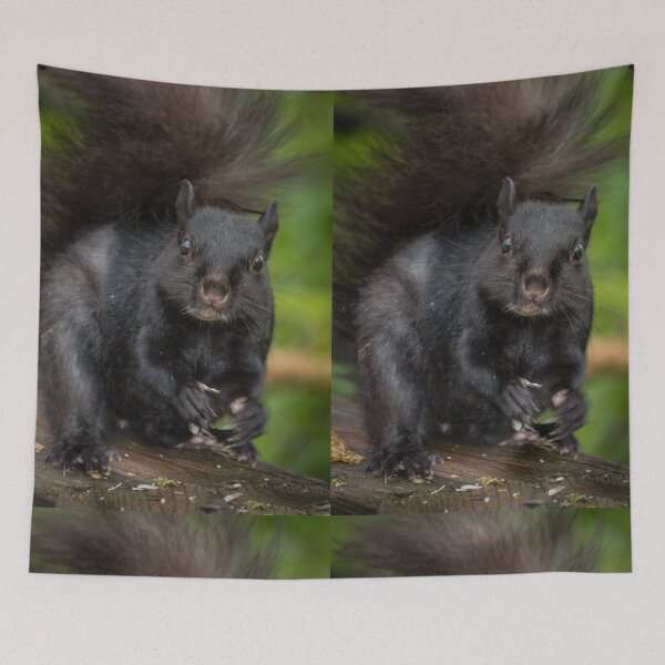 Item preview, Eastern Grey Squirrel designed and sold by Robert Alsop.